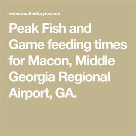Feed times georgia. Things To Know About Feed times georgia. 